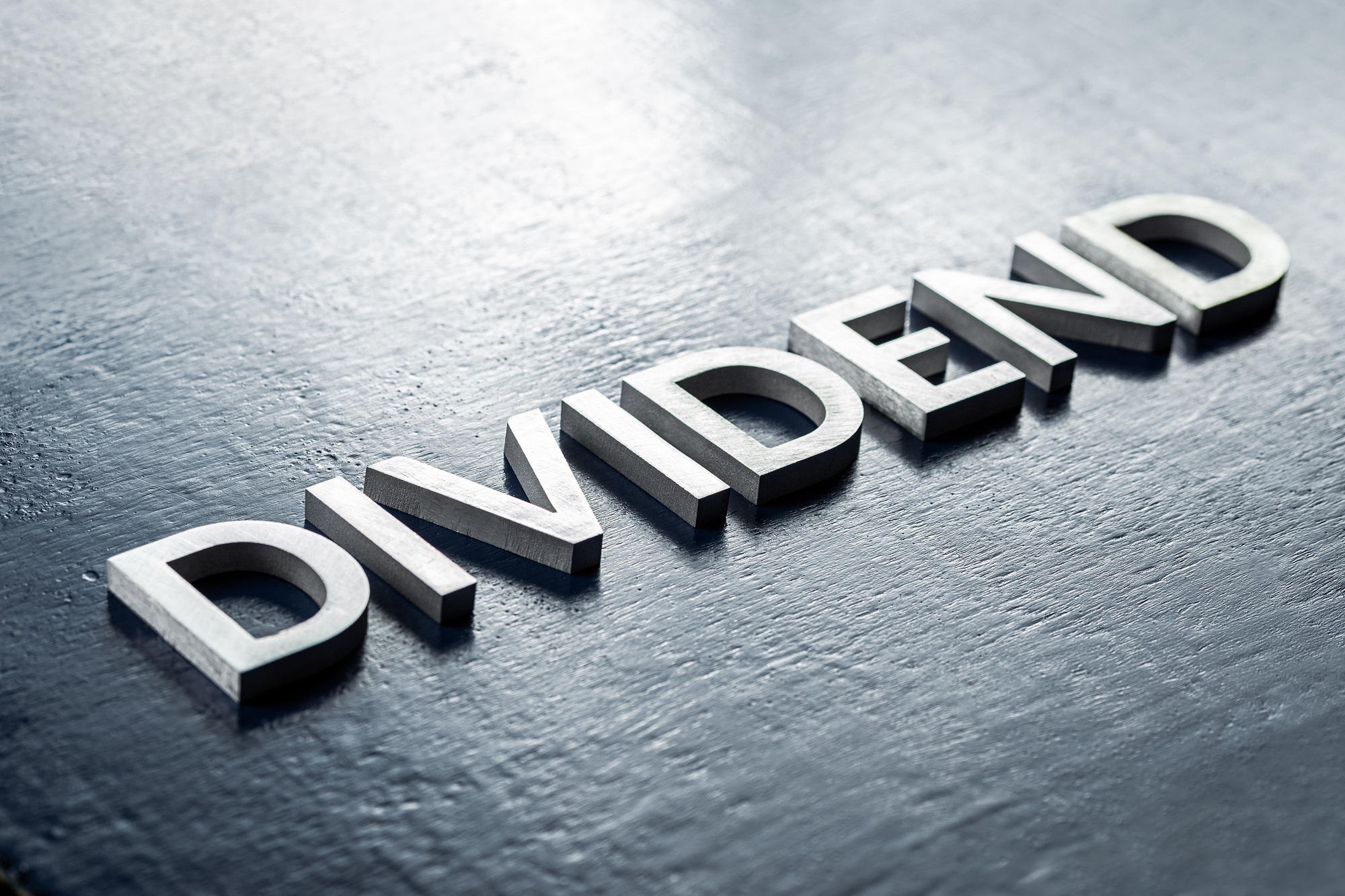 Dividendų mokėjimo tvarka už 2023 m.
